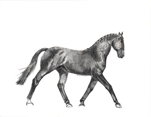 Ronald Reagan Presidential Library, Simi Valley, CA.