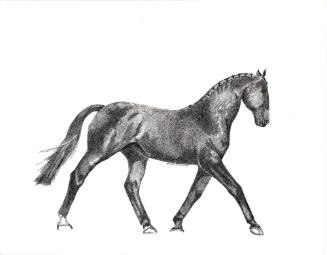 Ronald Reagan Presidential Library, Simi Valley, CA.