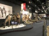 Lieutenant Ronald Reagan and the U.S. Cavalry/ Hollywood Horse Soldier [exhibition]. Ronald Rea…