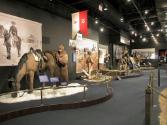 Lieutenant Ronald Reagan and the U.S. Cavalry/ Hollywood Horse Soldier [exhibition]. Ronald Rea…