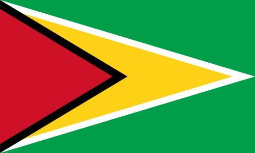 Flag of Guyana